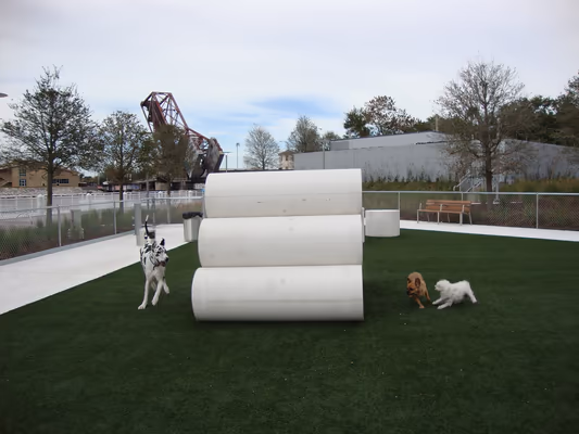 Dog Park at Curtis Hixon Waterfront Park